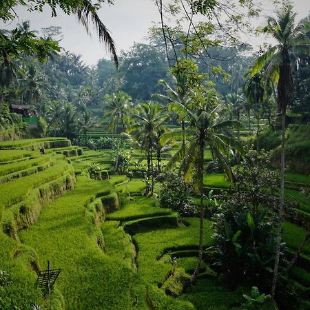 Villa Seremi Ubud Payangan Exteriör bild